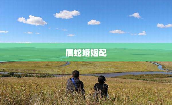 属蛇婚姻配