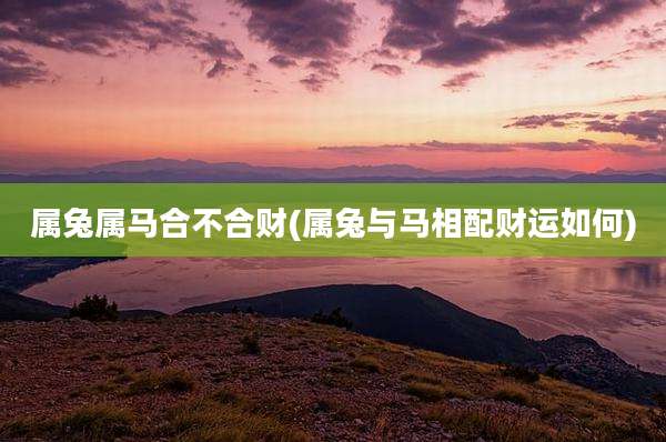 属兔属马合不合财(属兔与马相配财运如何)