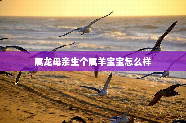 属龙母亲生个属羊宝宝怎么样