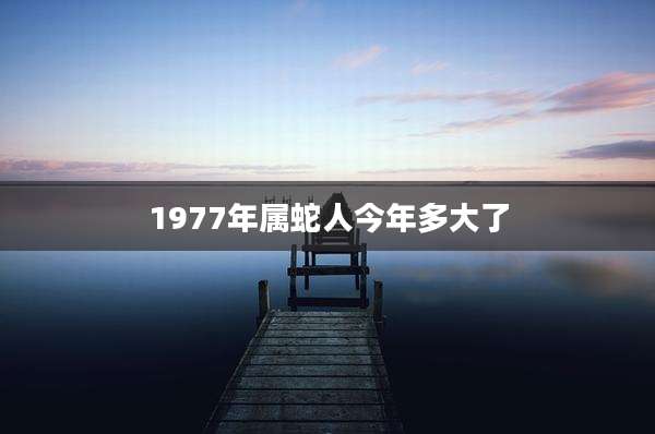 1977年属蛇人今年多大了