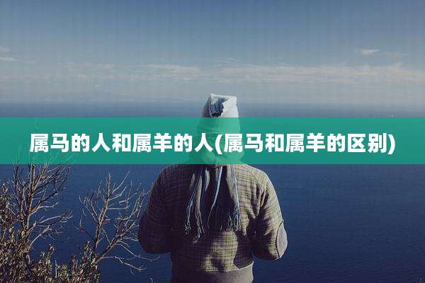 属马的人和属羊的人(属马和属羊的区别)