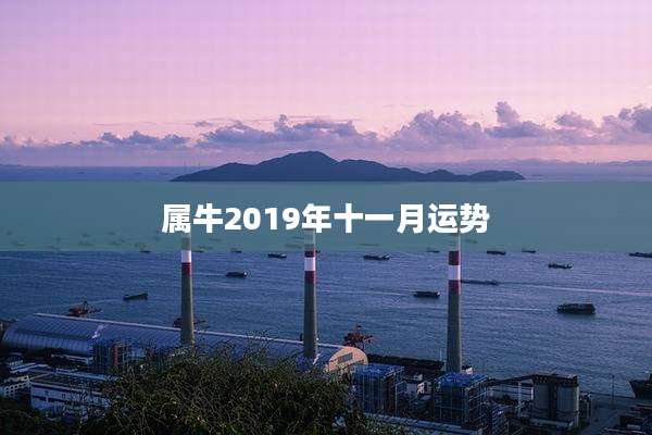属牛2019年十一月运势