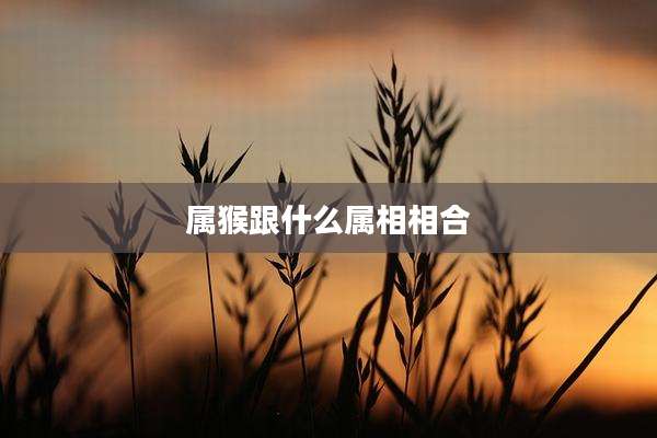 属猴跟什么属相相合