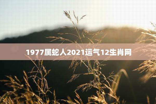 1977属蛇人2021运气12生肖网