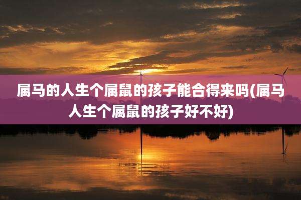 属马的人生个属鼠的孩子能合得来吗(属马人生个属鼠的孩子好不好)