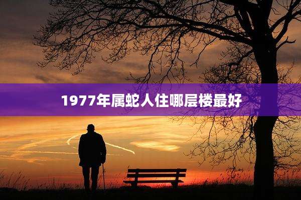 1977年属蛇人住哪层楼最好