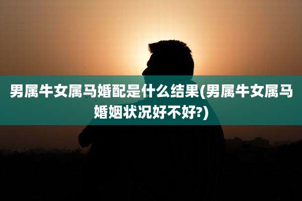 男属牛女属马婚配是什么结果(男属牛女属马婚姻状况好不好?)