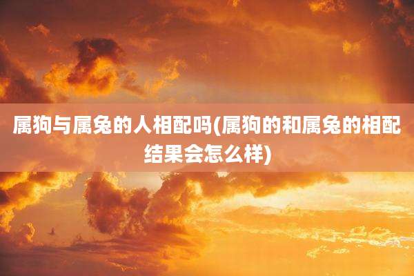 属狗与属兔的人相配吗(属狗的和属兔的相配结果会怎么样)