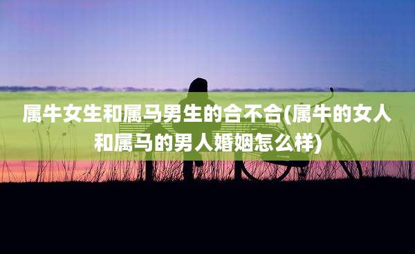 属牛女生和属马男生的合不合(属牛的女人和属马的男人婚姻怎么样)