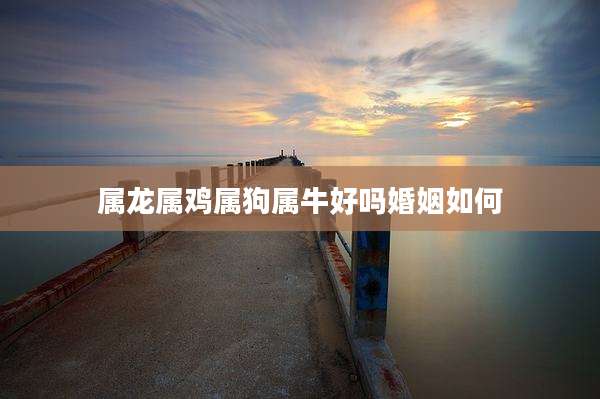 属龙属鸡属狗属牛好吗婚姻如何