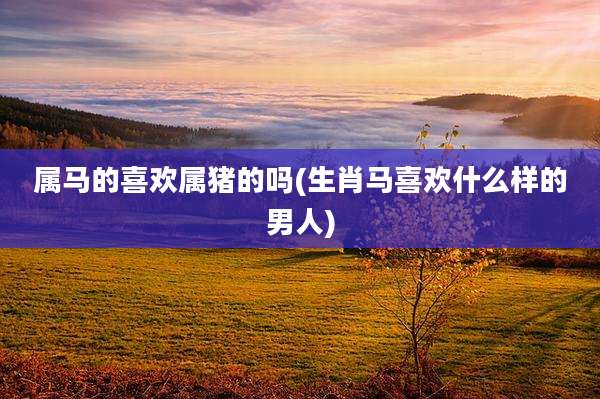 属马的喜欢属猪的吗(生肖马喜欢什么样的男人)
