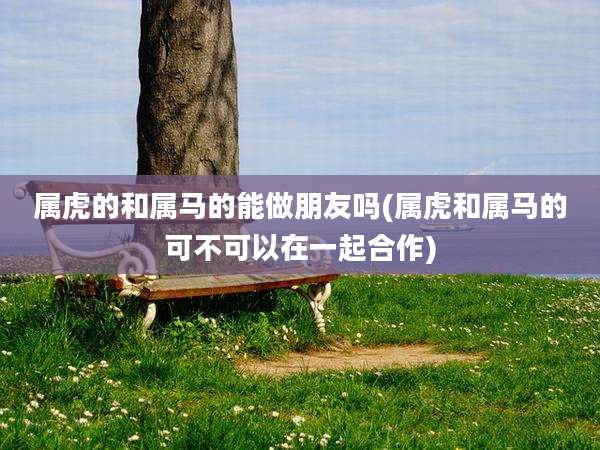 属虎的和属马的能做朋友吗(属虎和属马的可不可以在一起合作)