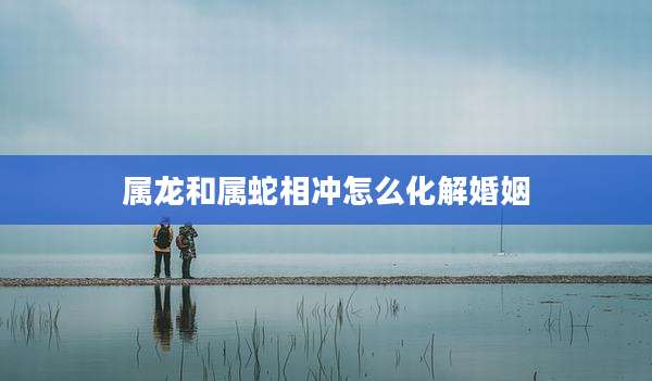 属龙和属蛇相冲怎么化解婚姻