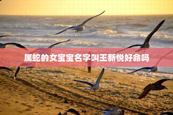 属蛇的女宝宝名字叫王新悦好命吗