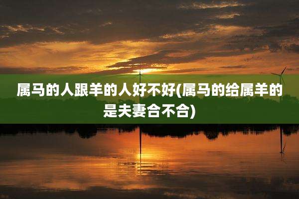 属马的人跟羊的人好不好(属马的给属羊的是夫妻合不合)