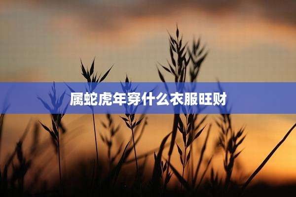 属蛇虎年穿什么衣服旺财