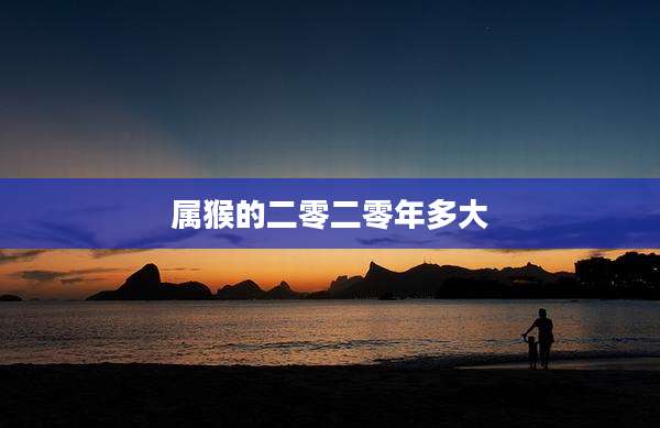 属猴的二零二零年多大