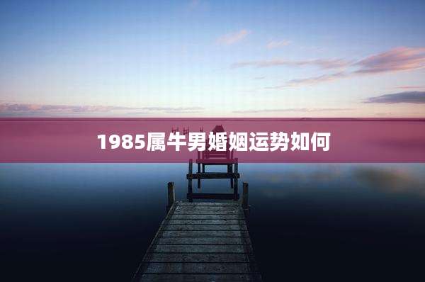 1985属牛男婚姻运势如何