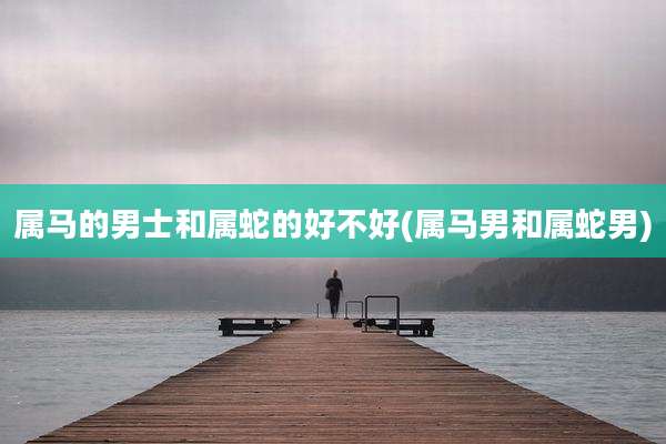 属马的男士和属蛇的好不好(属马男和属蛇男)