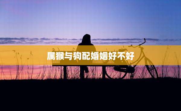 属猴与狗配婚姻好不好