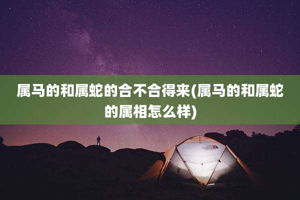 属马的和属蛇的合不合得来(属马的和属蛇的属相怎么样)