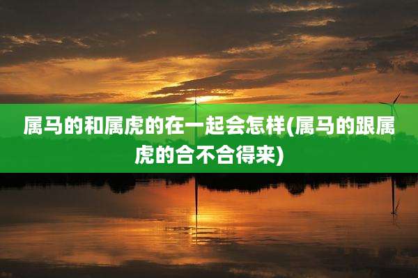属马的和属虎的在一起会怎样(属马的跟属虎的合不合得来)