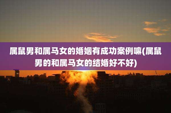 属鼠男和属马女的婚姻有成功案例嘛(属鼠男的和属马女的结婚好不好)