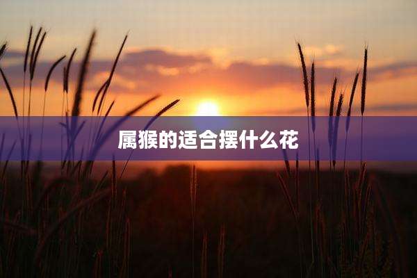 属猴的适合摆什么花