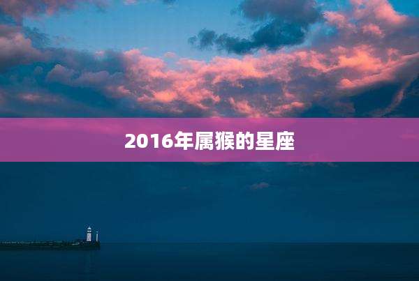 2016年属猴的星座