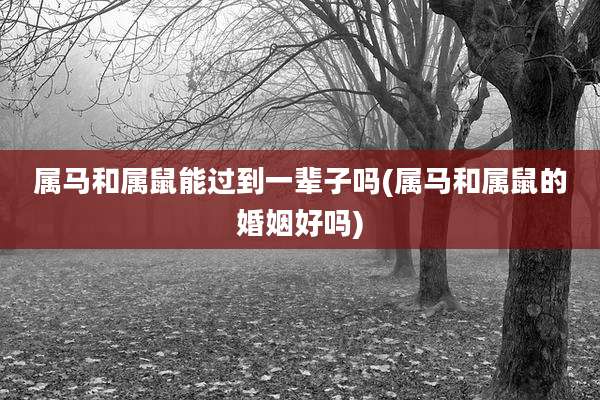 属马和属鼠能过到一辈子吗(属马和属鼠的婚姻好吗)