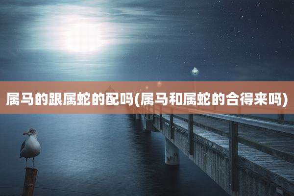 属马的跟属蛇的配吗(属马和属蛇的合得来吗)