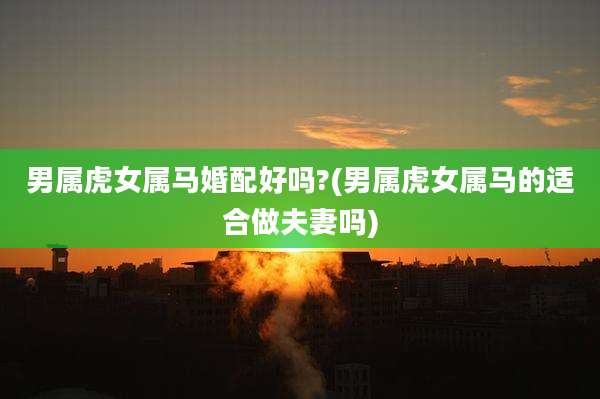 男属虎女属马婚配好吗?(男属虎女属马的适合做夫妻吗)