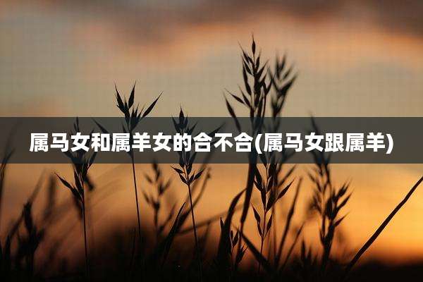 属马女和属羊女的合不合(属马女跟属羊)