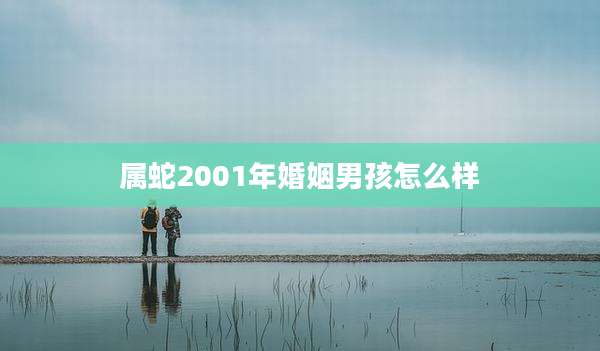 属蛇2001年婚姻男孩怎么样