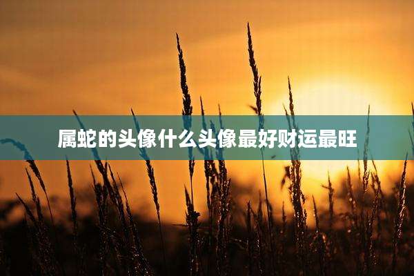属蛇的头像什么头像最好财运最旺
