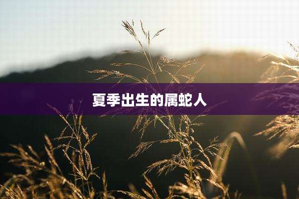 夏季出生的属蛇人
