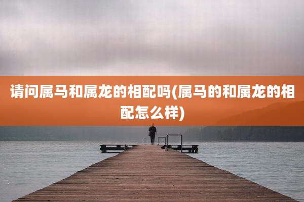 请问属马和属龙的相配吗(属马的和属龙的相配怎么样)