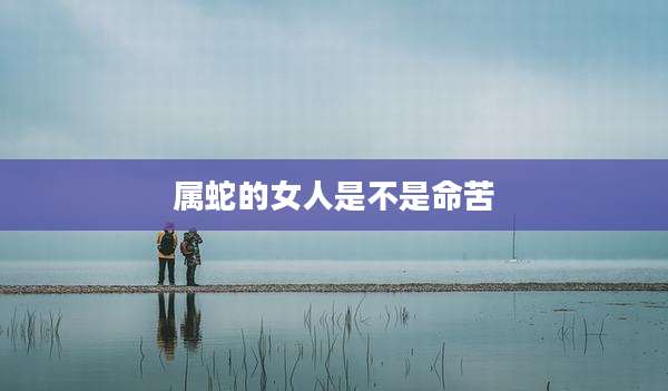 属蛇的女人是不是命苦