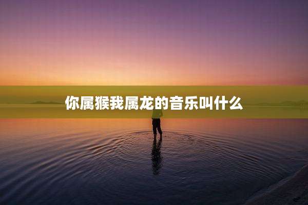 你属猴我属龙的音乐叫什么