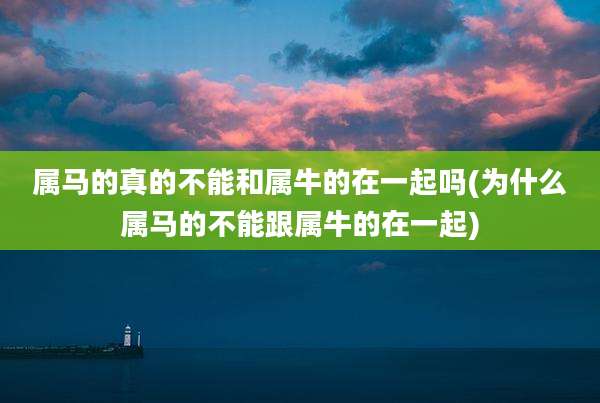 属马的真的不能和属牛的在一起吗(为什么属马的不能跟属牛的在一起)