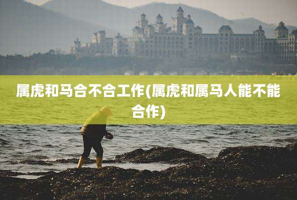 属虎和马合不合工作(属虎和属马人能不能合作)