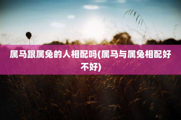 属马跟属兔的人相配吗(属马与属兔相配好不好)