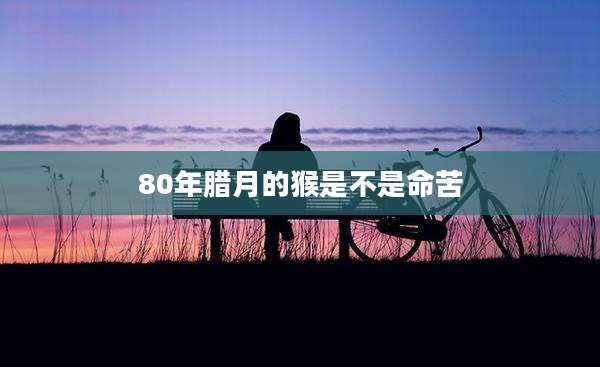 80年腊月的猴是不是命苦