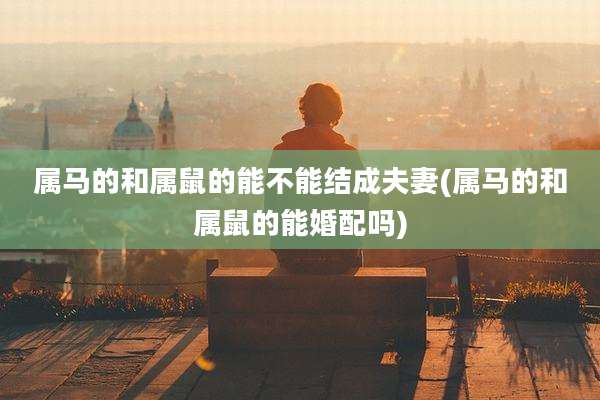 属马的和属鼠的能不能结成夫妻(属马的和属鼠的能婚配吗)