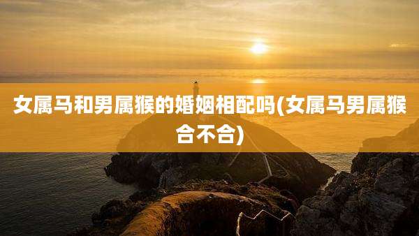 女属马和男属猴的婚姻相配吗(女属马男属猴合不合)