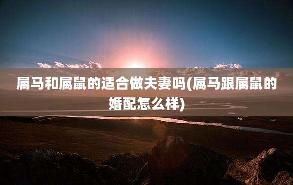 属马和属鼠的适合做夫妻吗(属马跟属鼠的婚配怎么样)