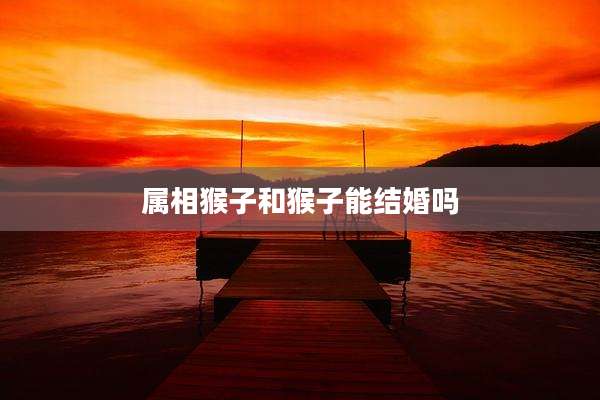 属相猴子和猴子能结婚吗