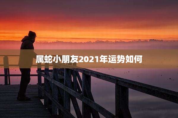 属蛇小朋友2021年运势如何