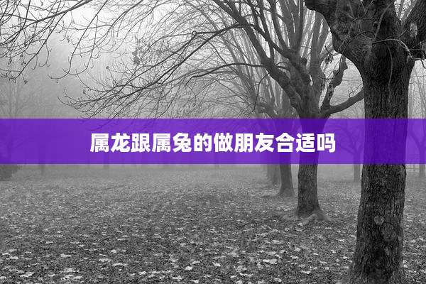 属龙跟属兔的做朋友合适吗