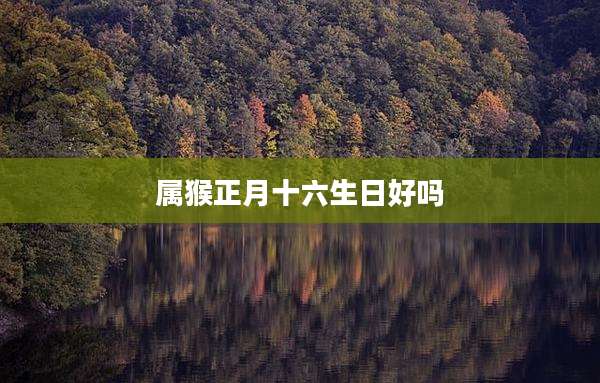 属猴正月十六生日好吗